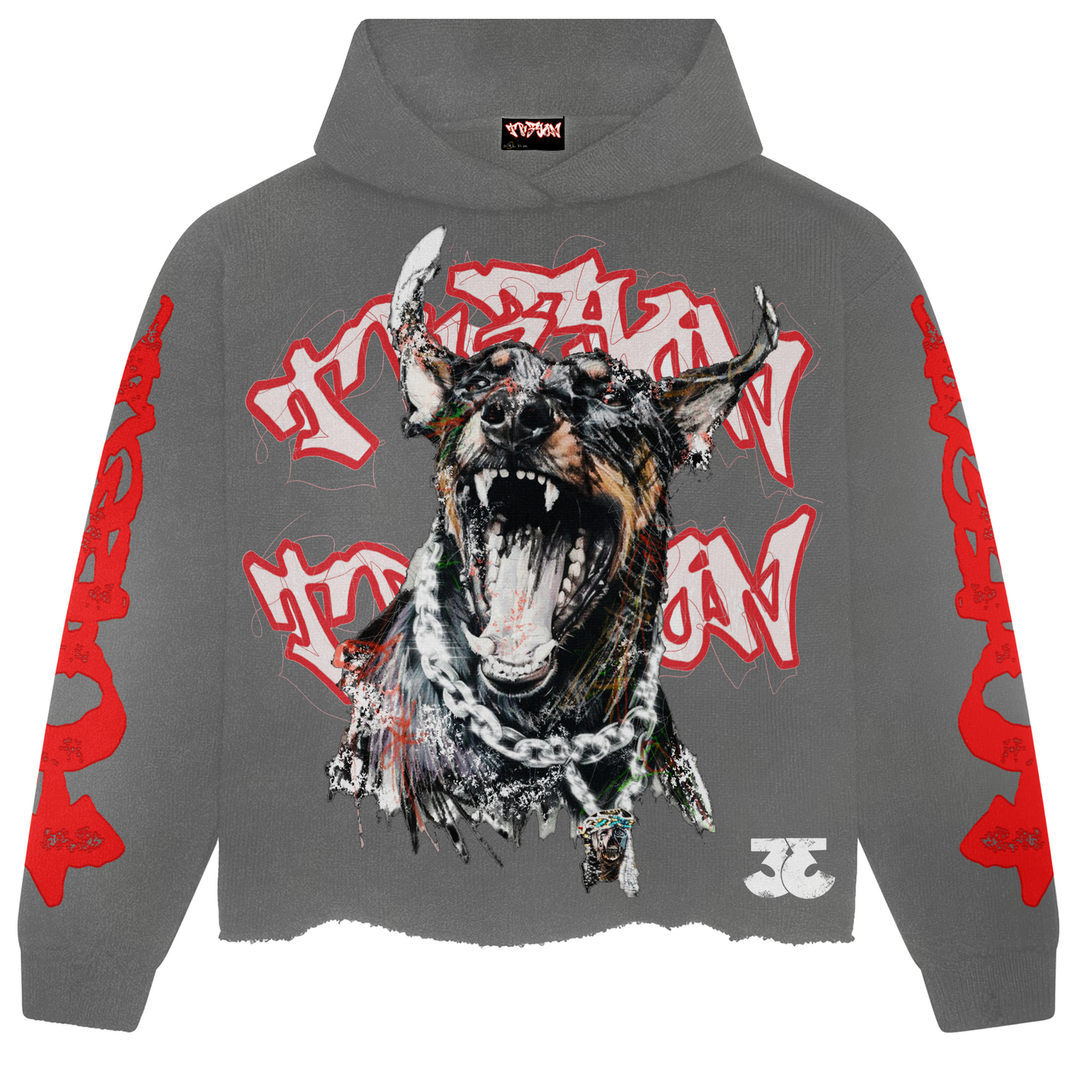 Gray TRӠYON Oversized Hoodie (Unisex)